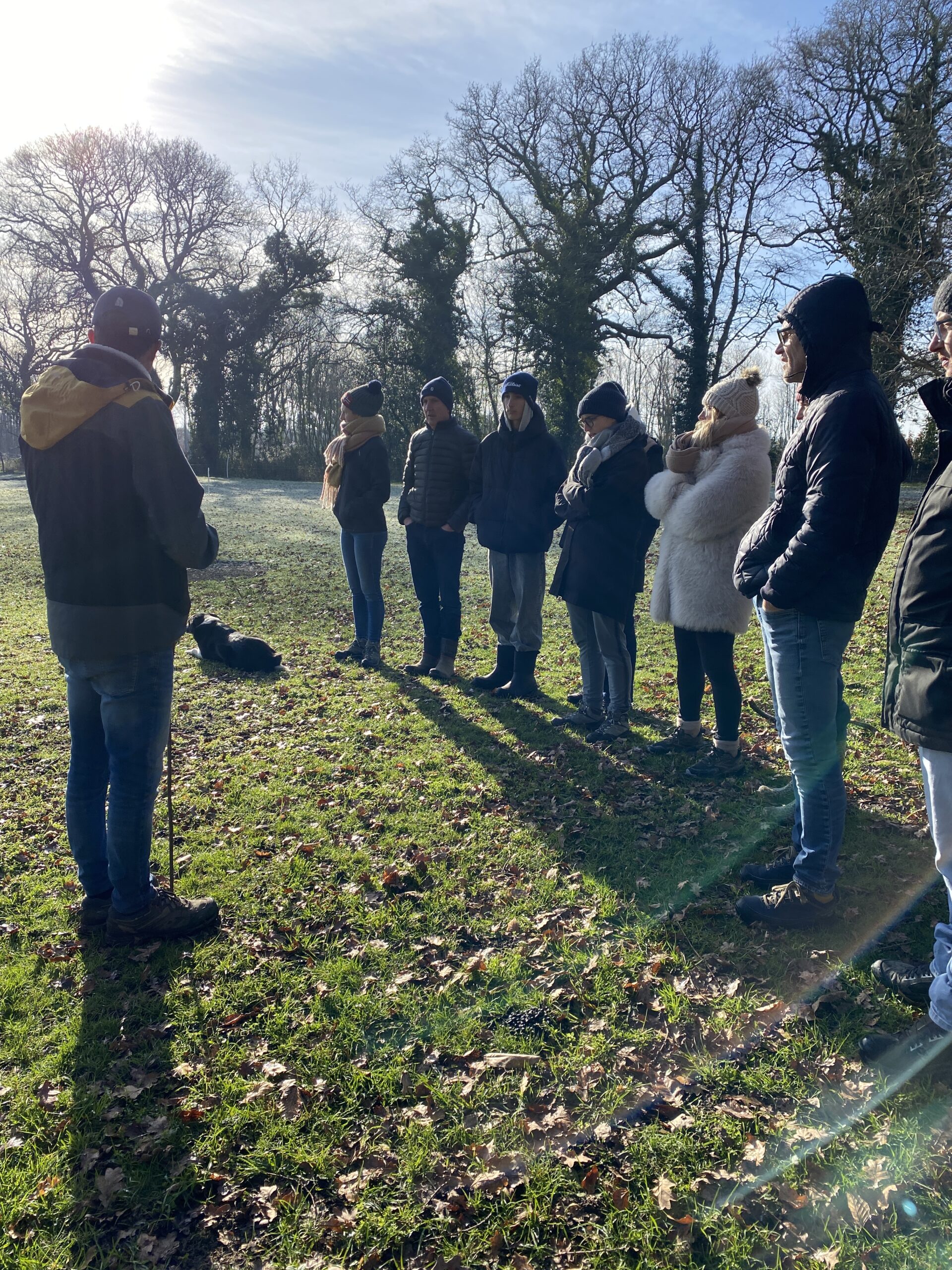 teambuilding entreprise groupe atelier chien de troupeau mouton formation sur site pornic