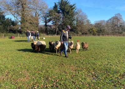 demonstration chien troupeau berger loire atlantique